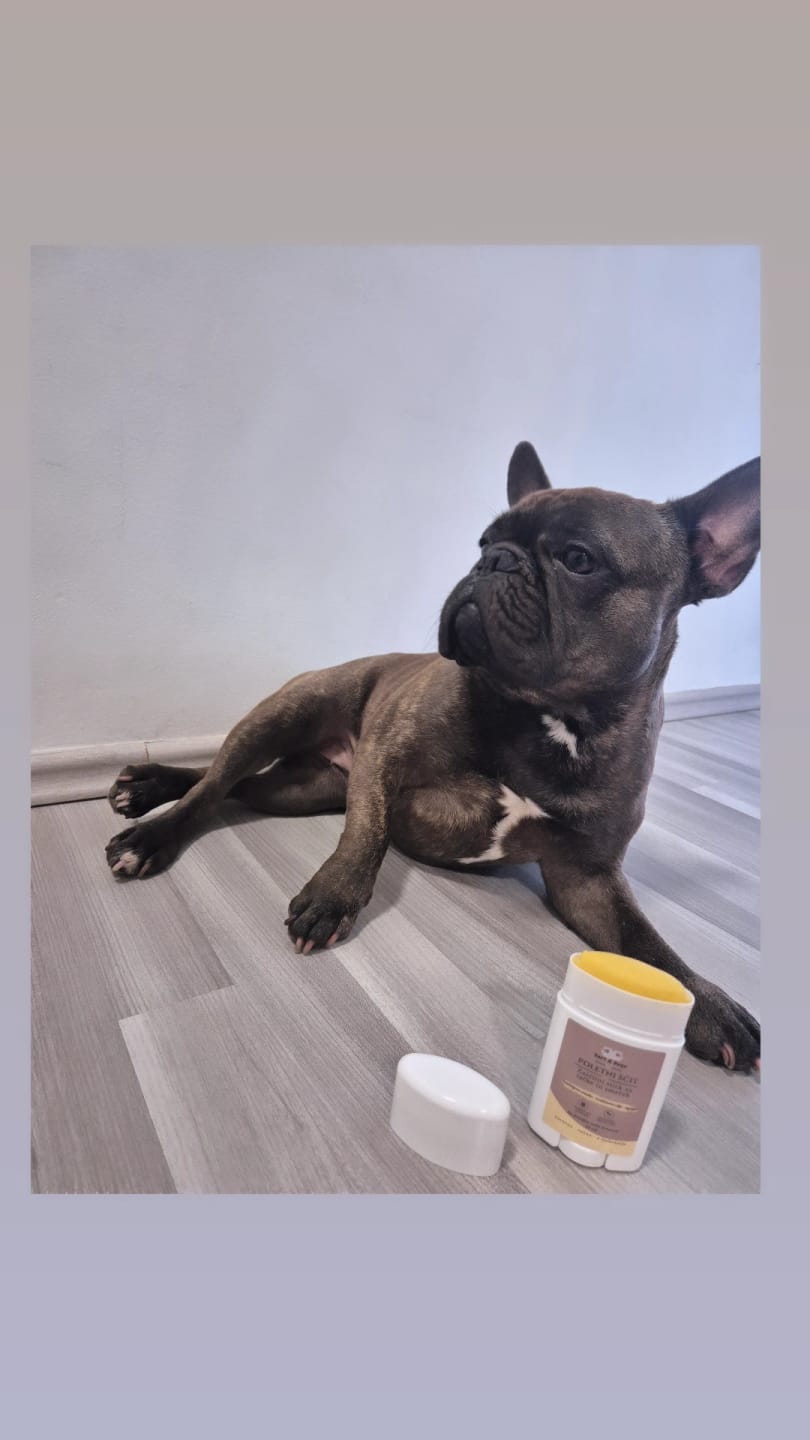 Customer photo review of Bert & Hugo Poletni Ščit – Zaščitni stik za tačke in smrček (5ml) za na pot