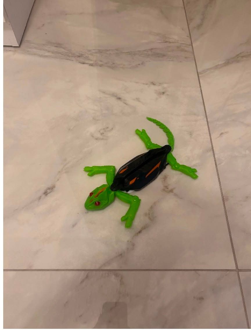 Customer photo review of TinyMini™ Uzaktan Kumandalı Duvar ve Tavana Tırmanabilen Kertenkele