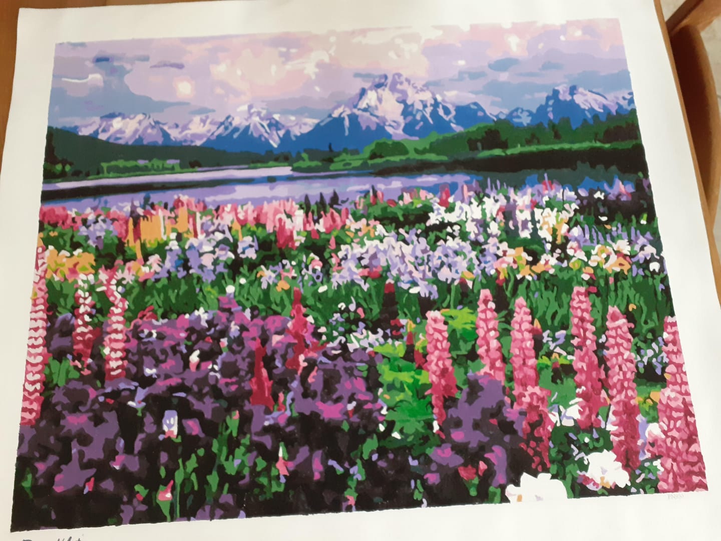Customer photo review of Fleurs et Lac au pied de la Montagne