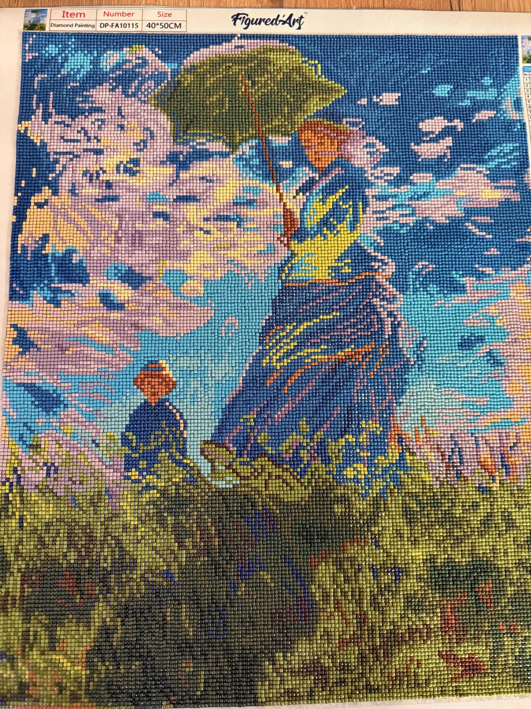Customer photo review of Broderie Diamant - La Promenade - Monet