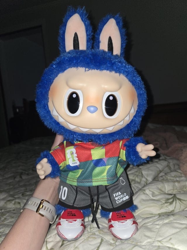 Customer photo review of Labubu Pin For Love Series Blind Box (N–Z Single Box)