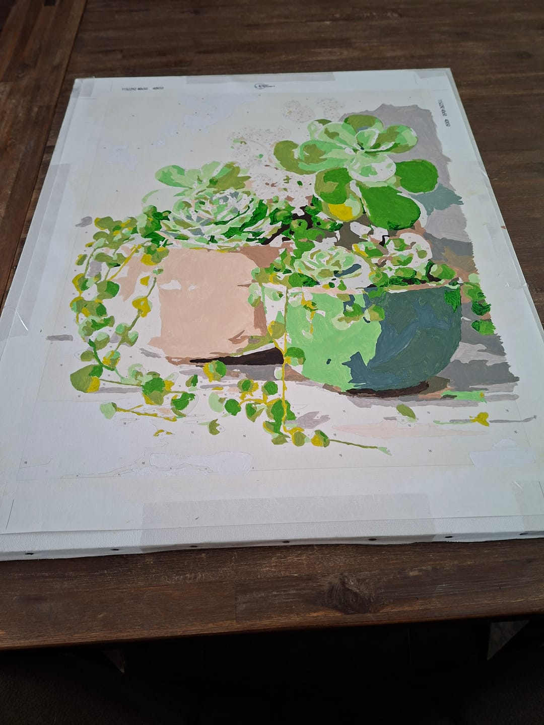 Customer photo review of Lentesucculenten