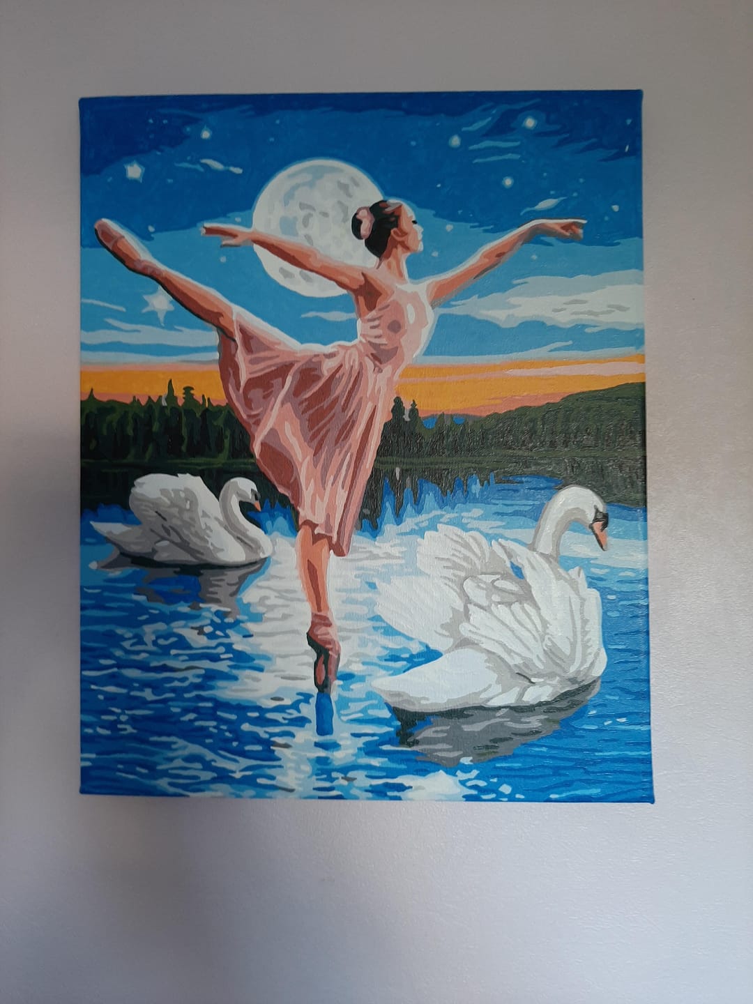 Customer photo review of Le Lac des Cygnes