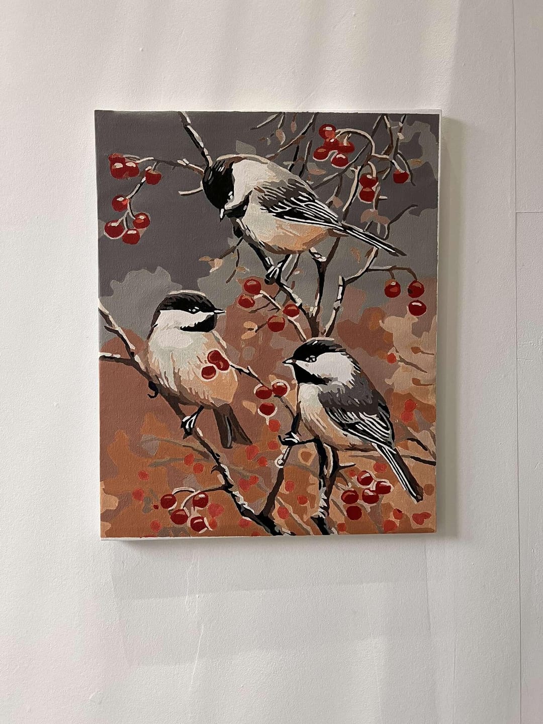Customer photo review of Oiseaux et Arbre Fruitier