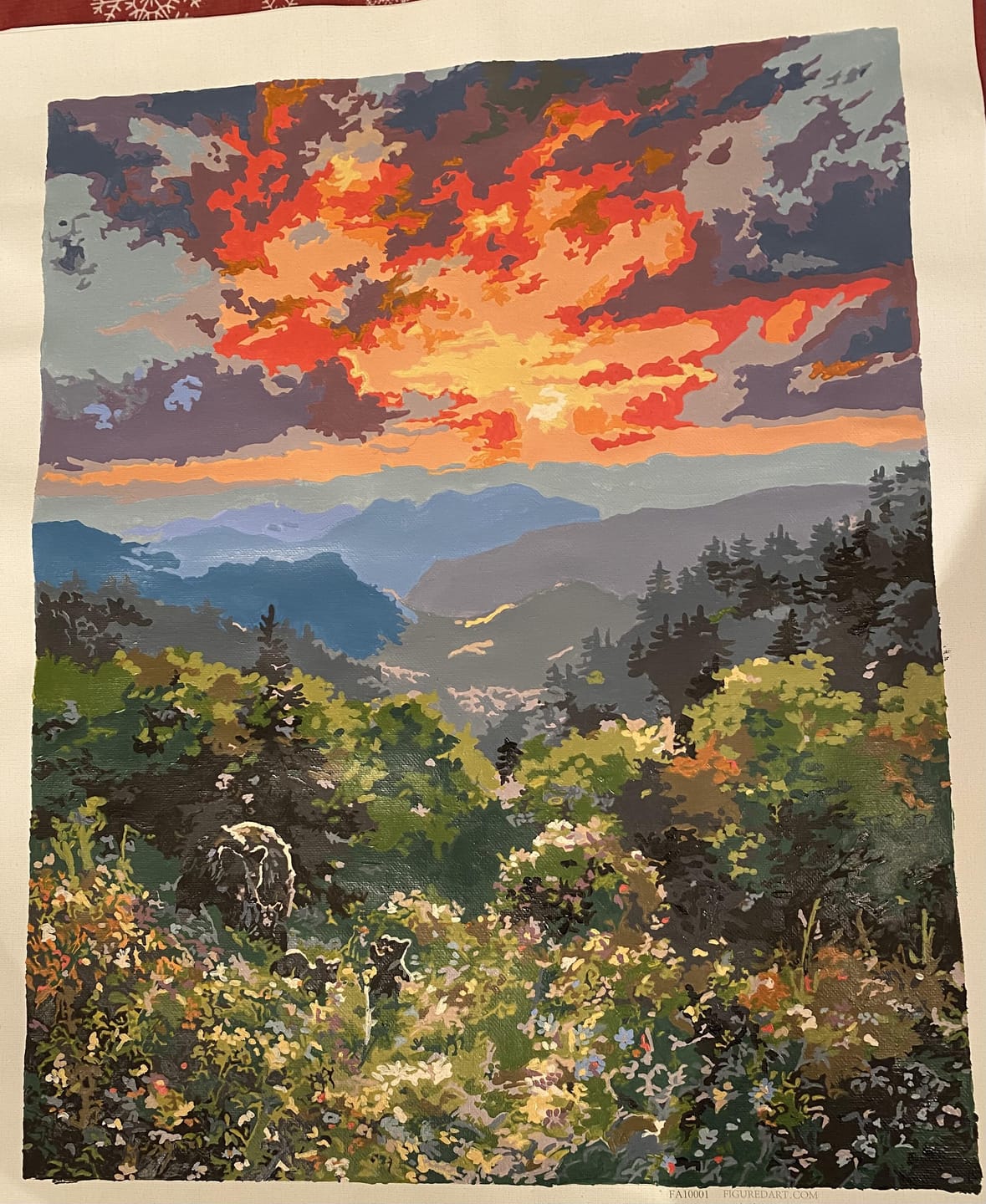 Customer photo review of Ours et coucher de soleil