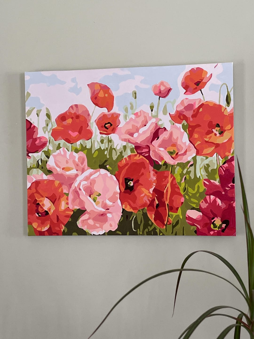 Customer photo review of Coquelicots multicolores
