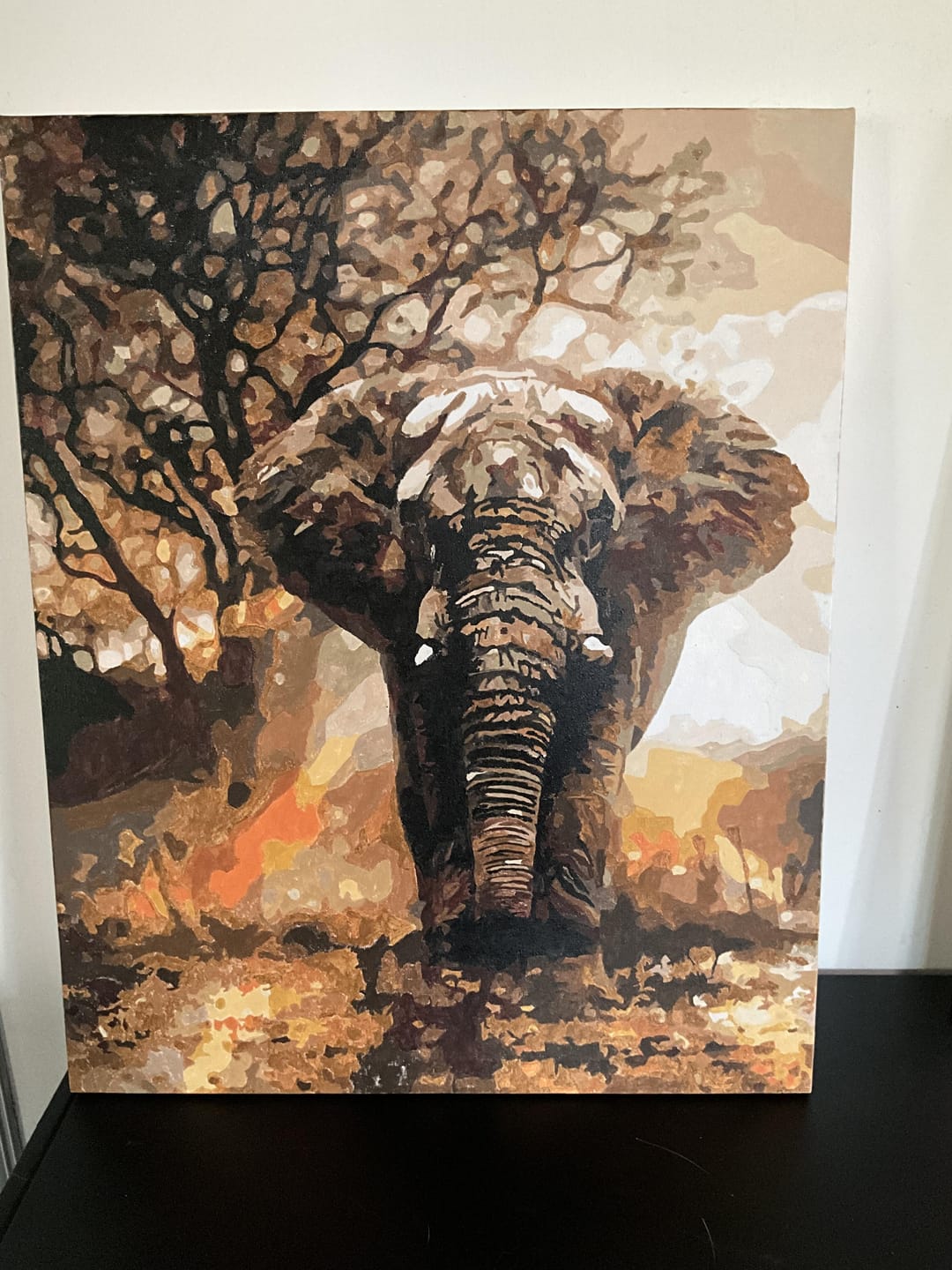 Customer photo review of Eléphant solitaire
