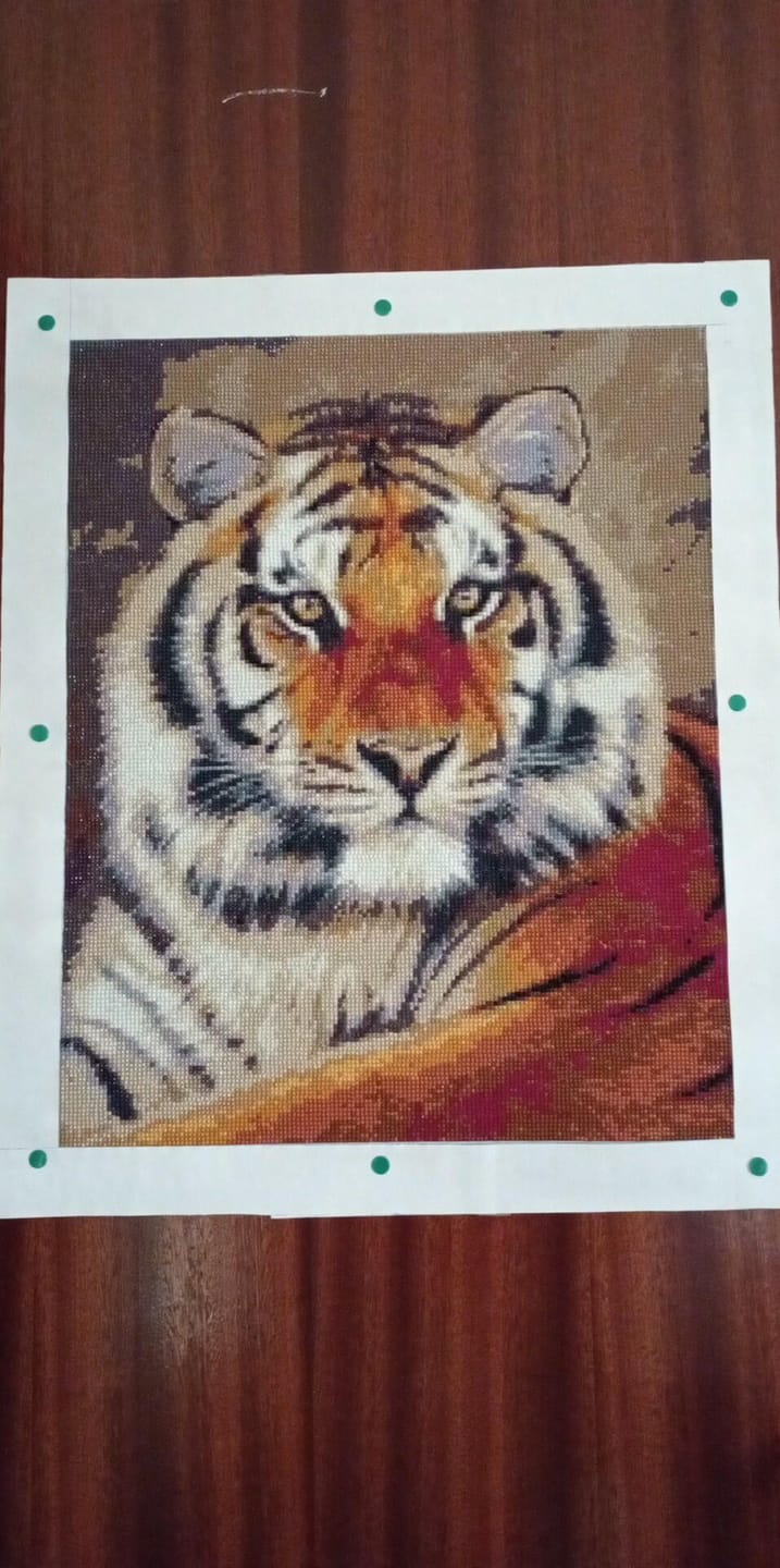 Customer photo review of Broderie Diamant - Regard de Tigre