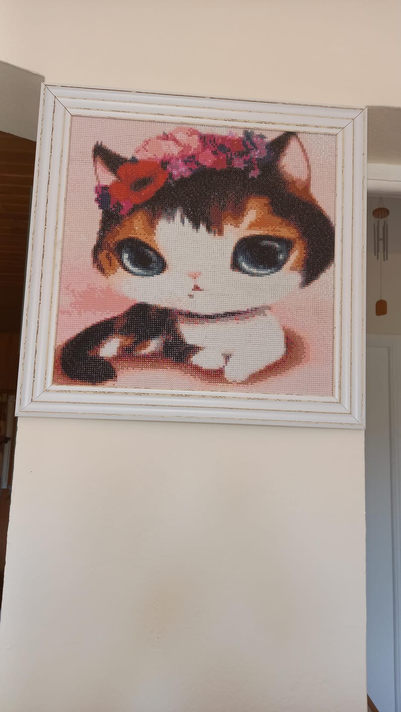 Customer photo review of Broderie Diamant - Chat aux Yeux verts