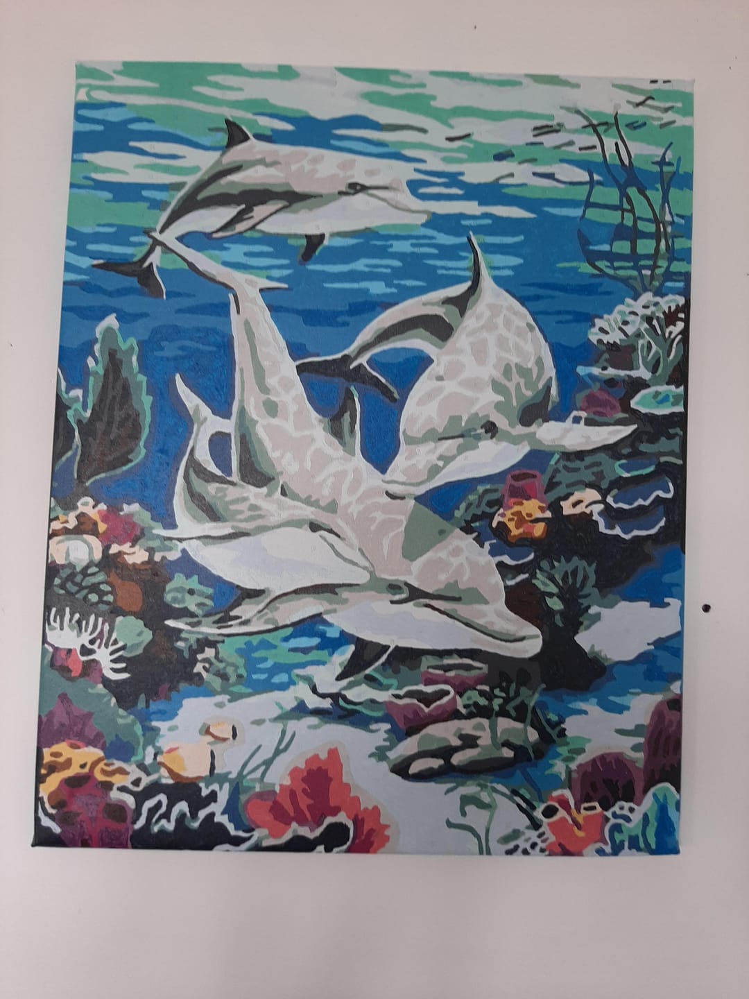 Customer photo review of Rencontre avec les Dauphins