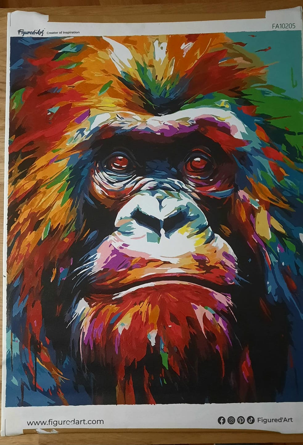Customer photo review of Orang-outan Coloré Abstrait