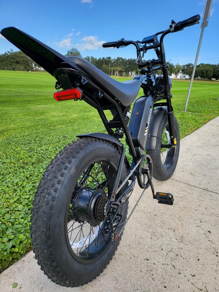 Customer photo review of Eskute V202 Retro E-Bike
