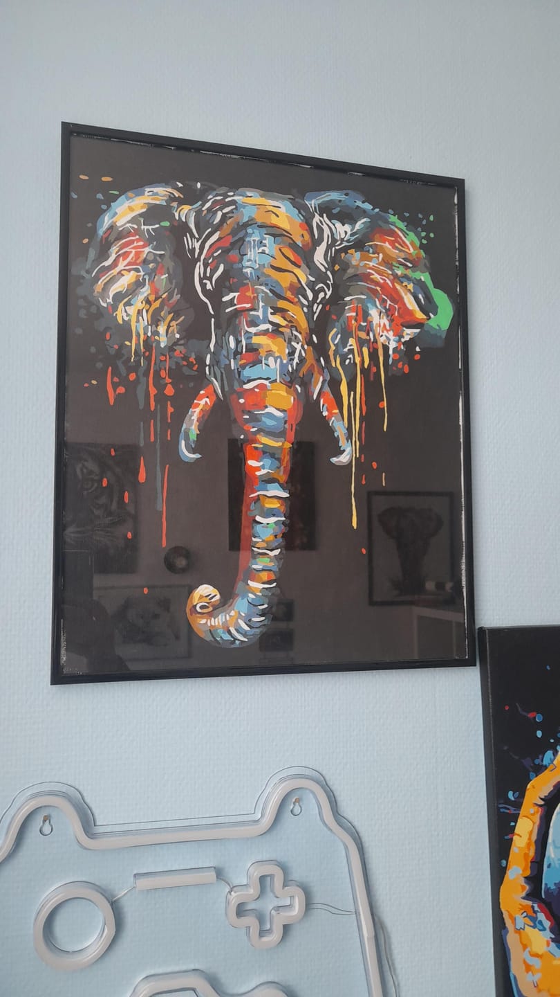 Customer photo review of Peinture Elephant