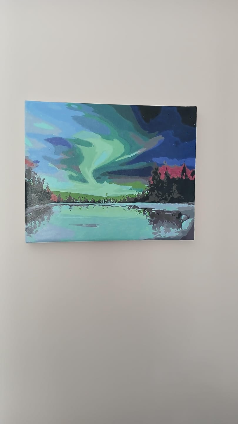 Customer photo review of Aurore boréale
