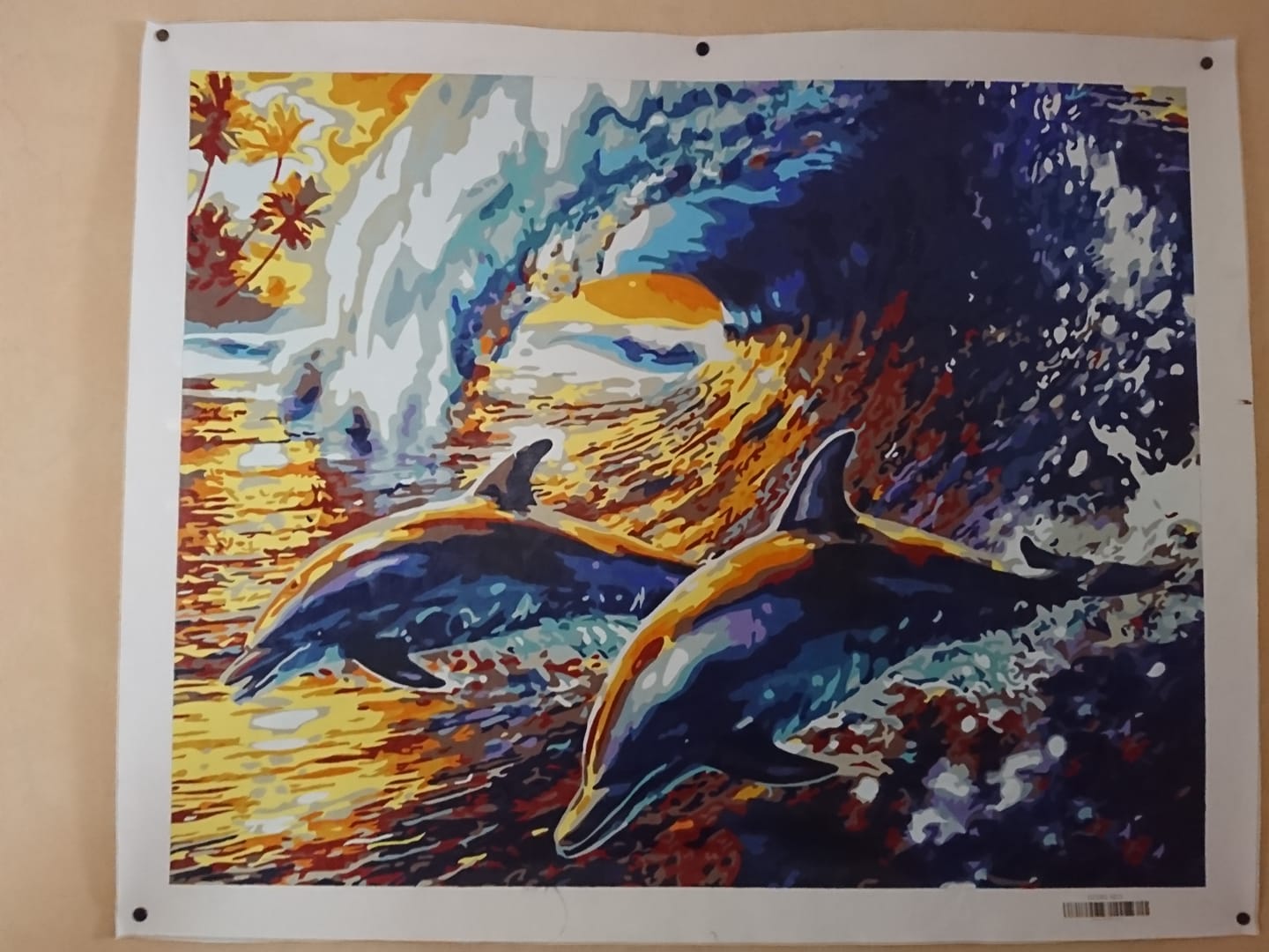 Customer photo review of Dauphins dans les Vagues