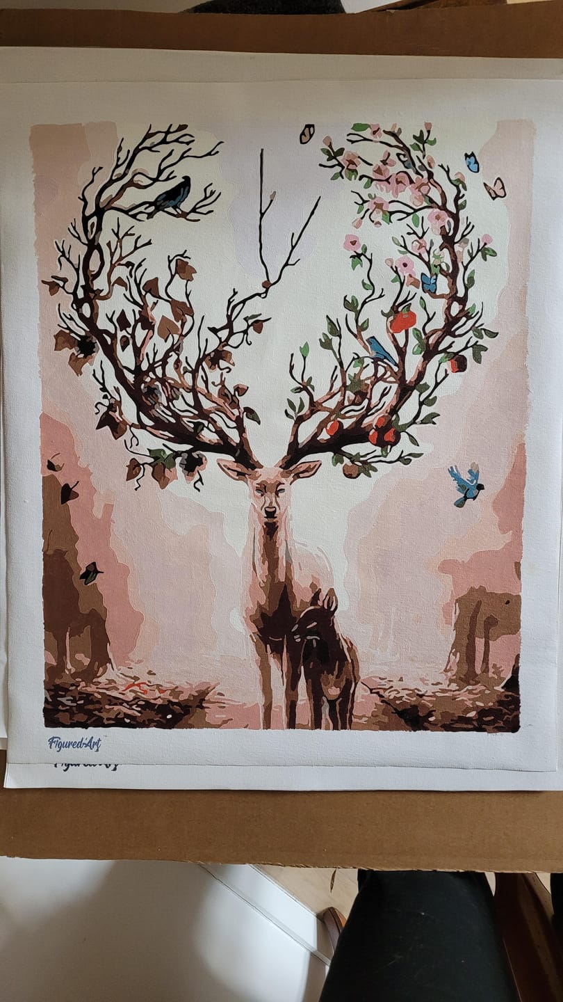 Customer photo review of Peinture par numéros Produit Mystère 40x50cm