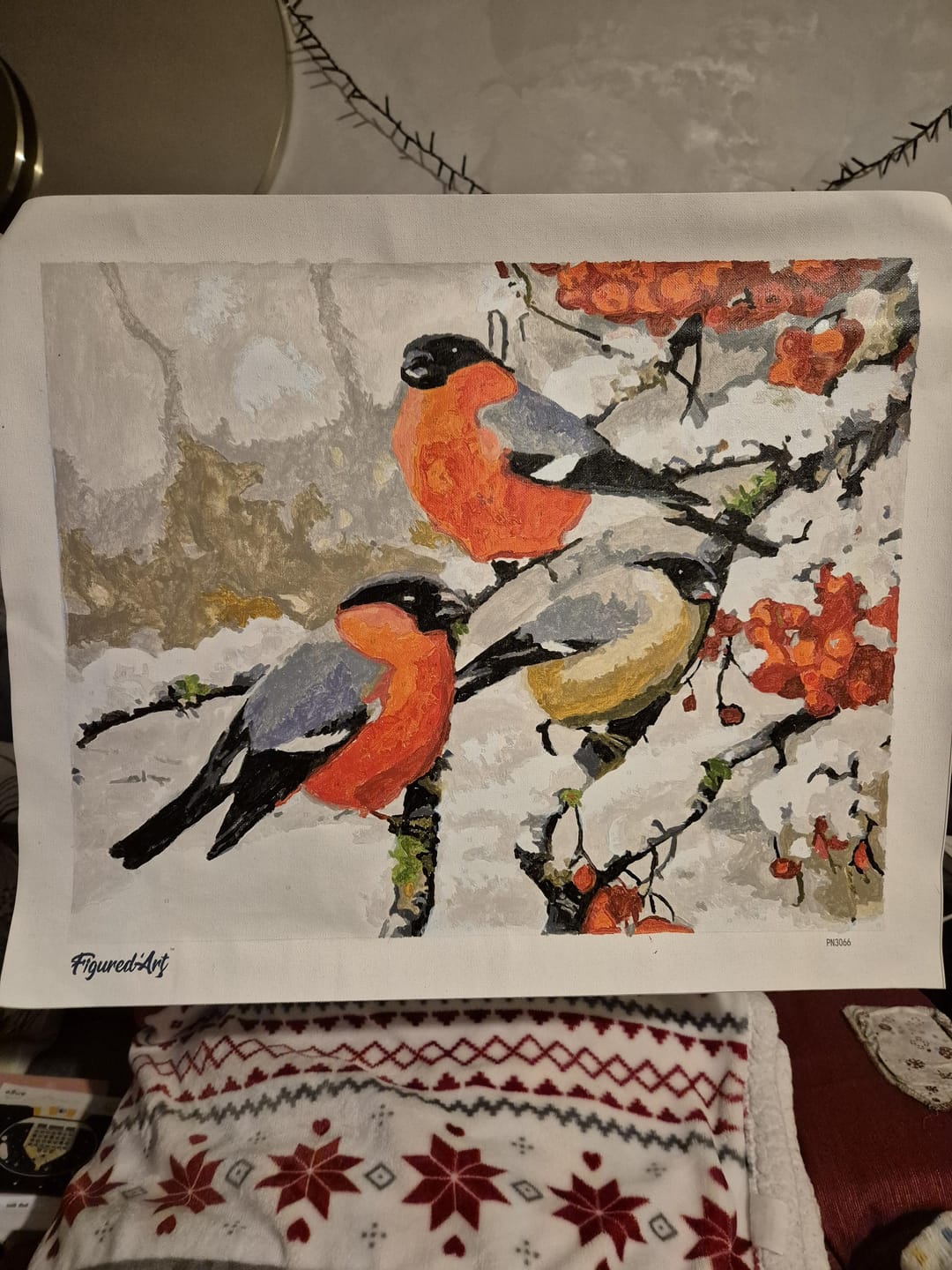 Customer photo review of Bouvreuils sous la neige