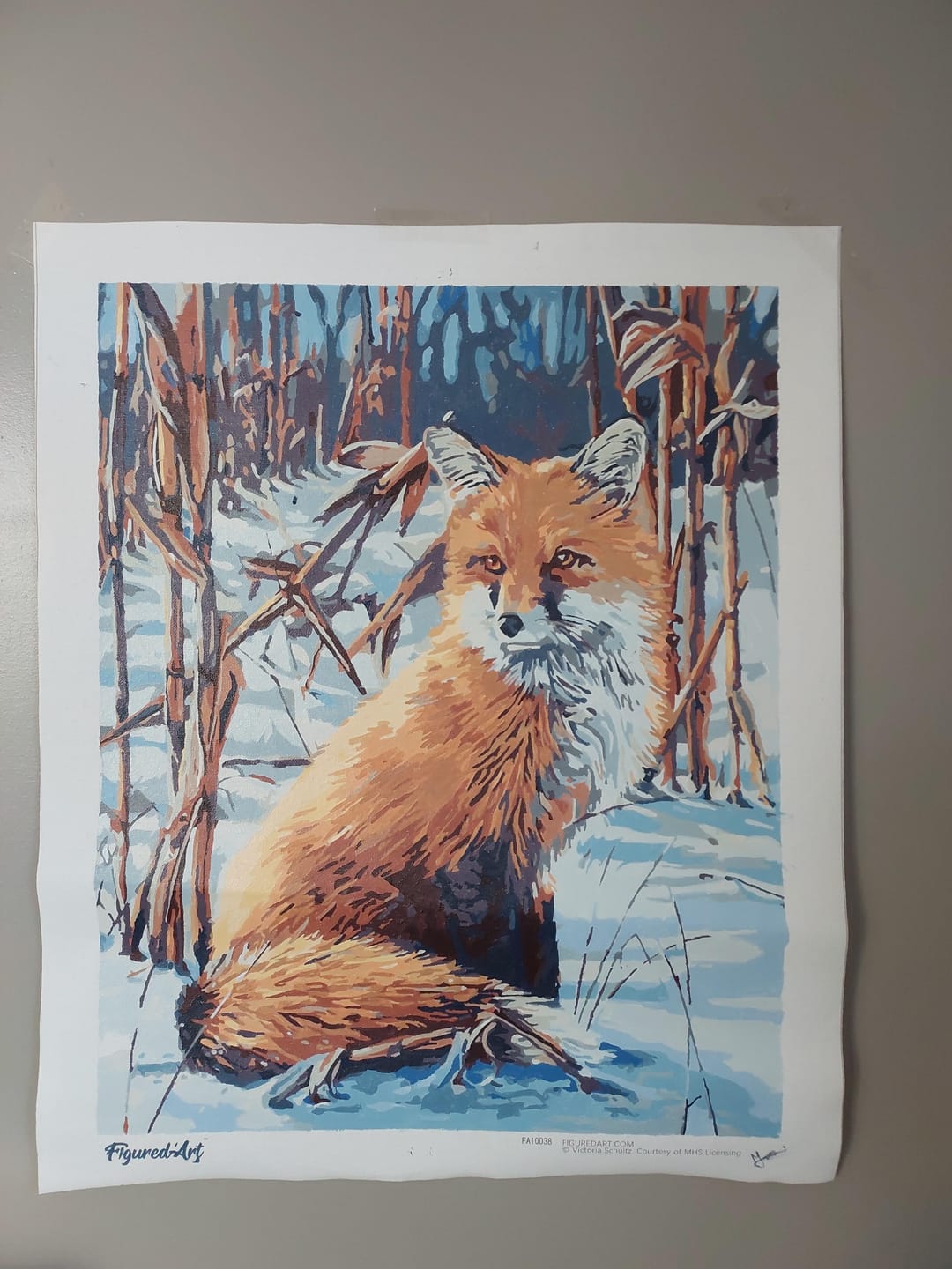 Customer photo review of Renard dans la Neige