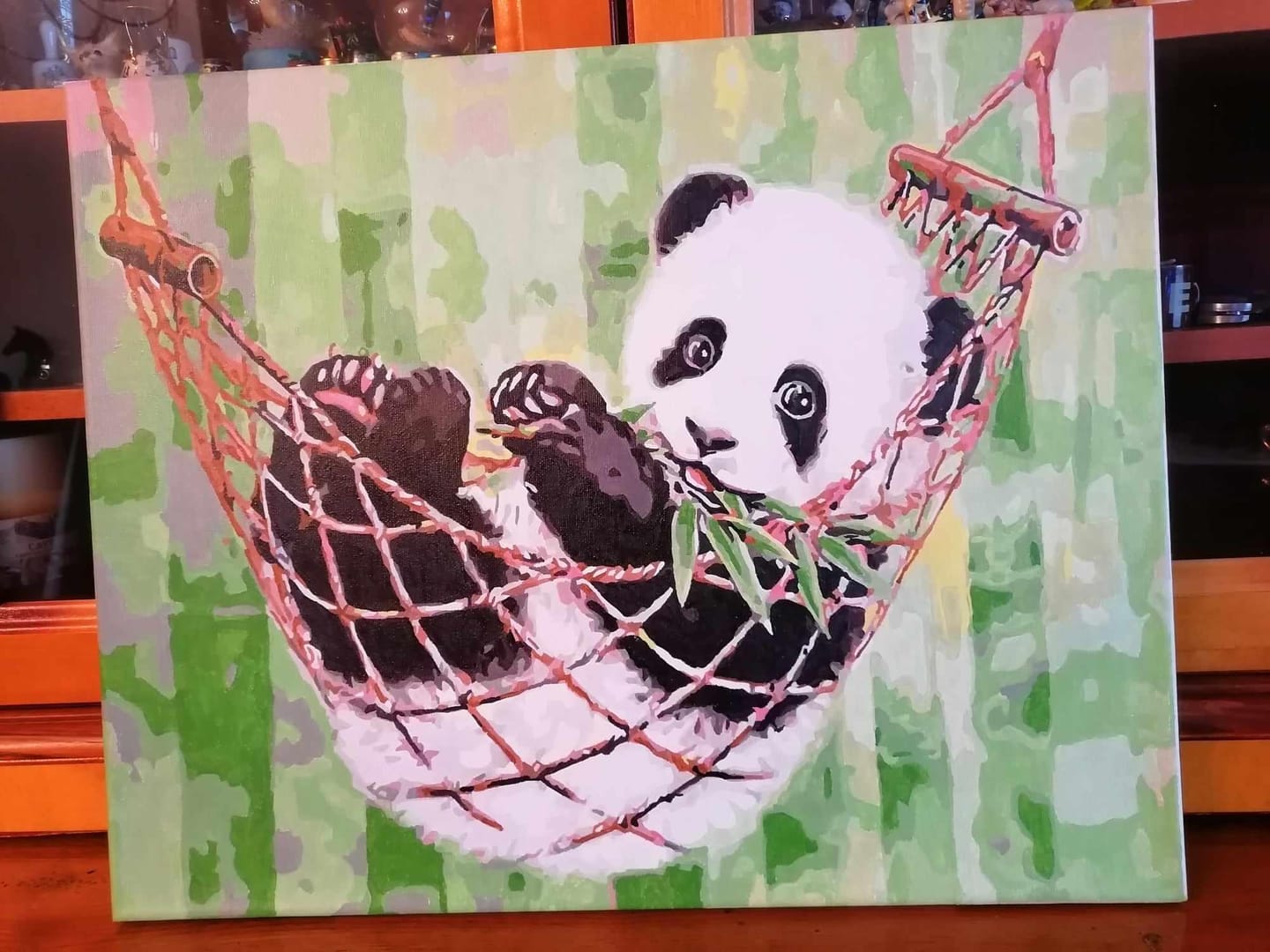 Customer photo review of Panda dans son Hamac