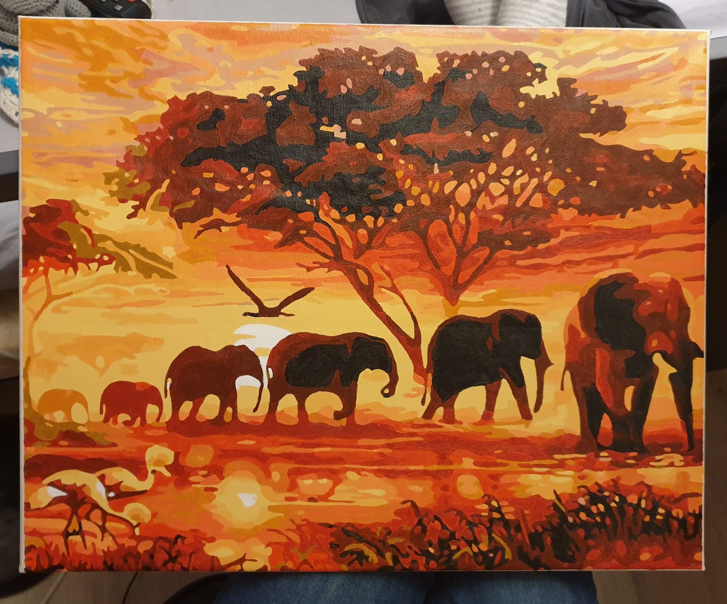 Customer photo review of Eléphants au Coucher du soleil