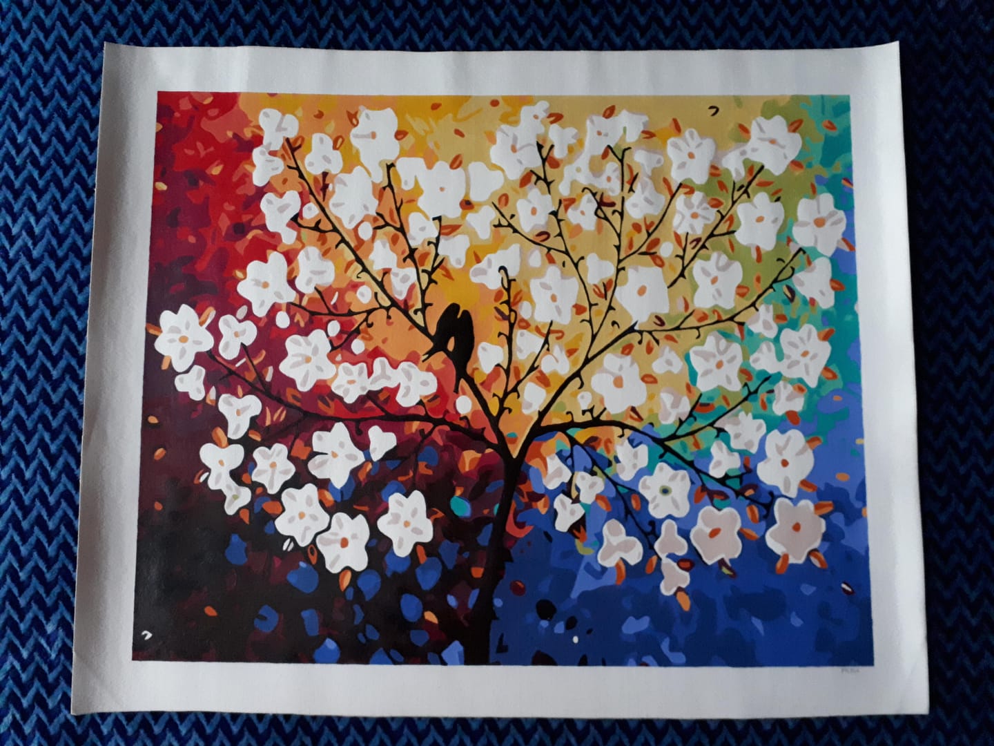 Customer photo review of Oiseaux au Printemps