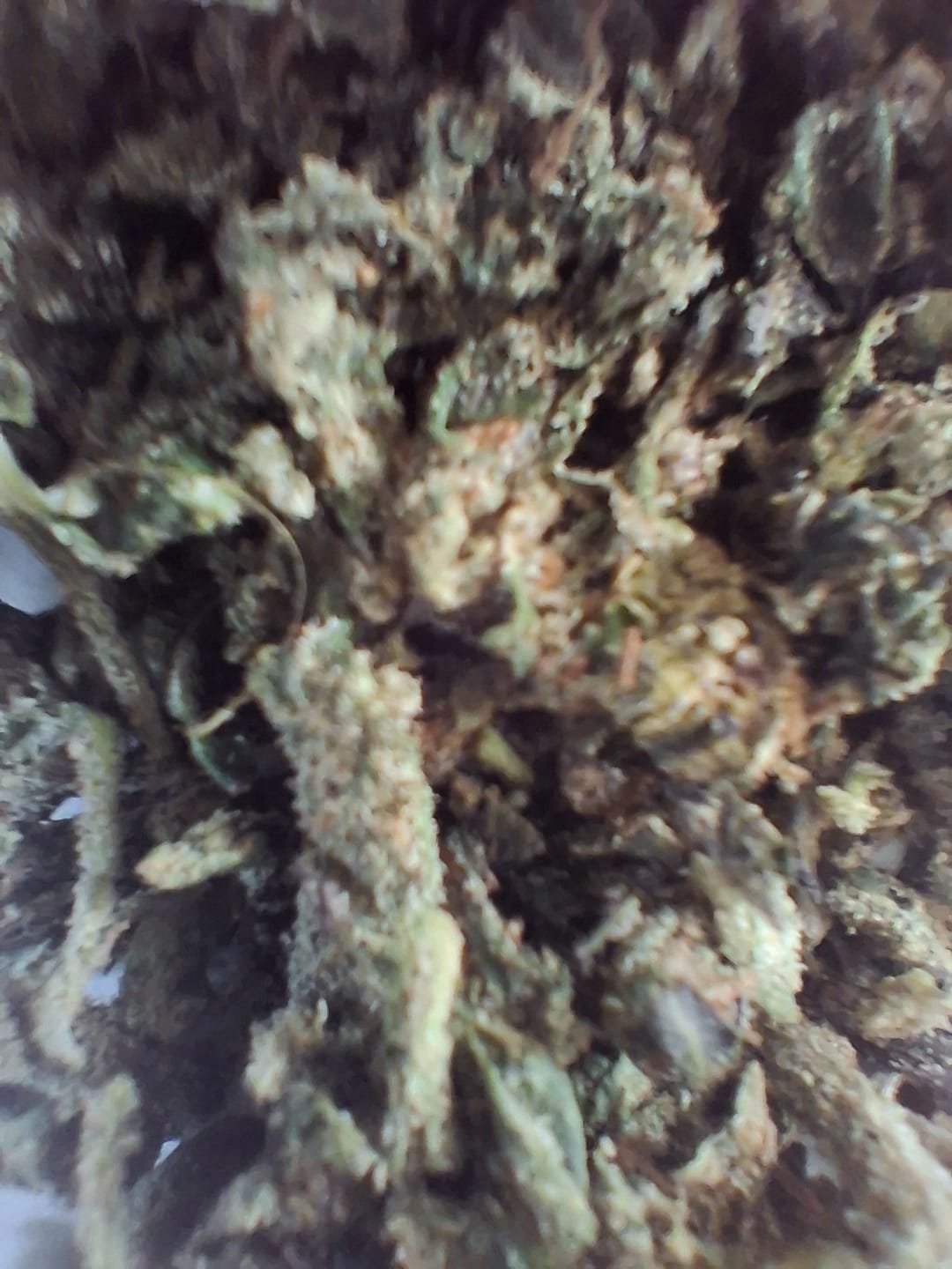 Customer photo review of Grape Ape Shake (BOGO)