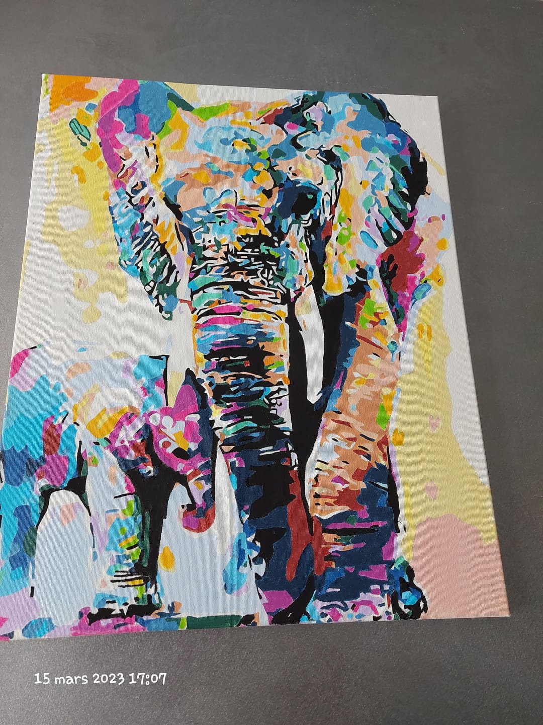 Customer photo review of Eléphants Aquarelle