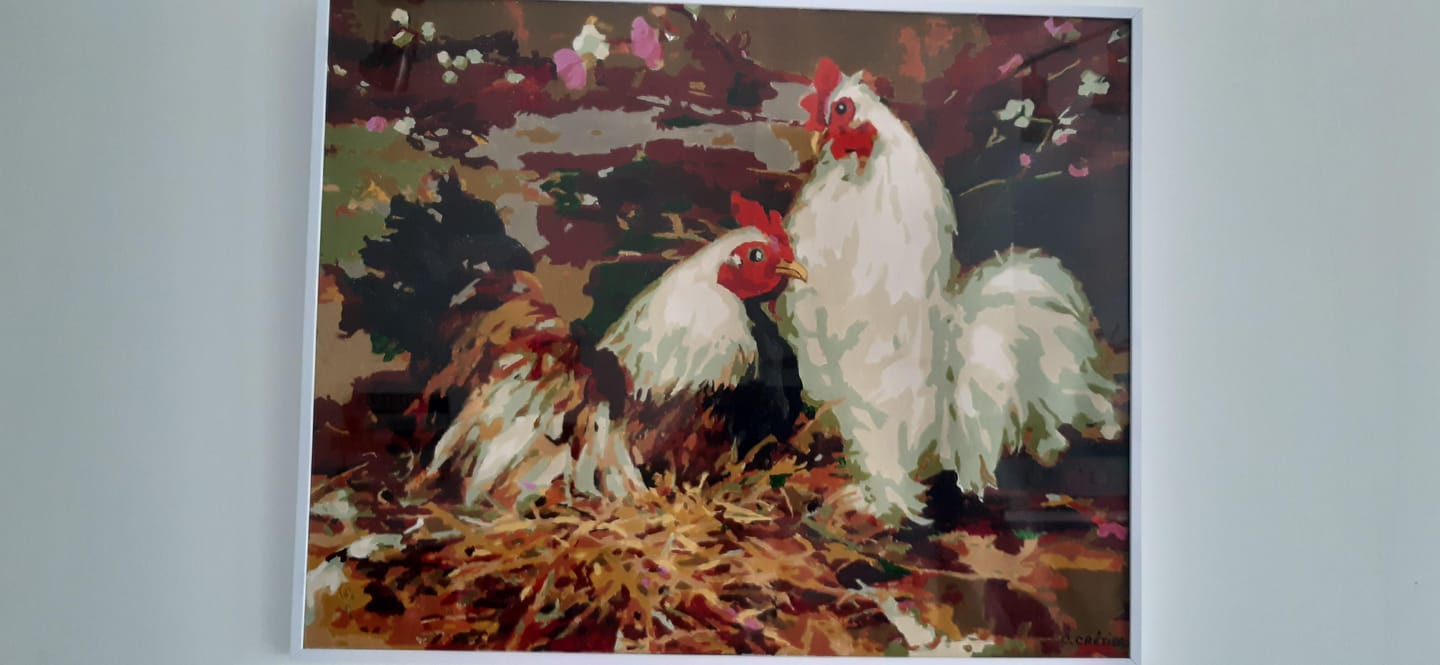 Customer photo review of Poule et Coq