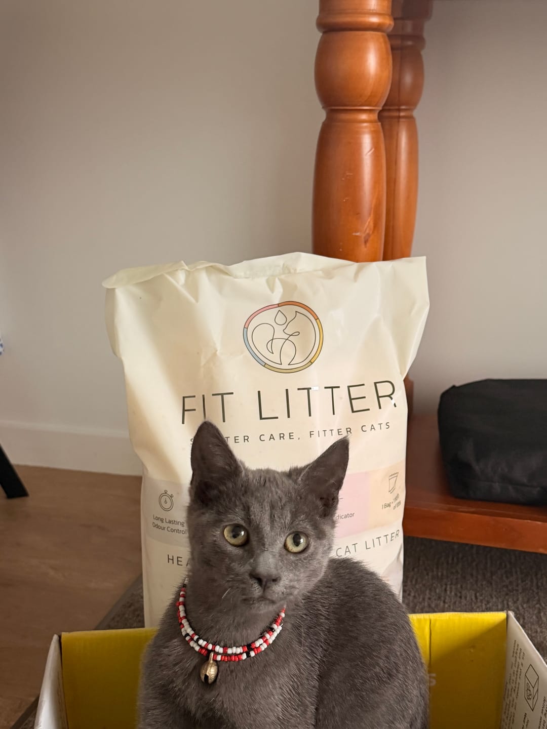 Customer photo review of Fit Litter