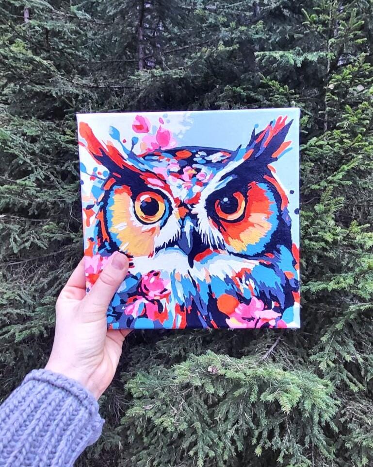Customer photo review of Mini Peinture par Numéros 20x20cm avec cadre Hibou Fantaisie et Fleurs