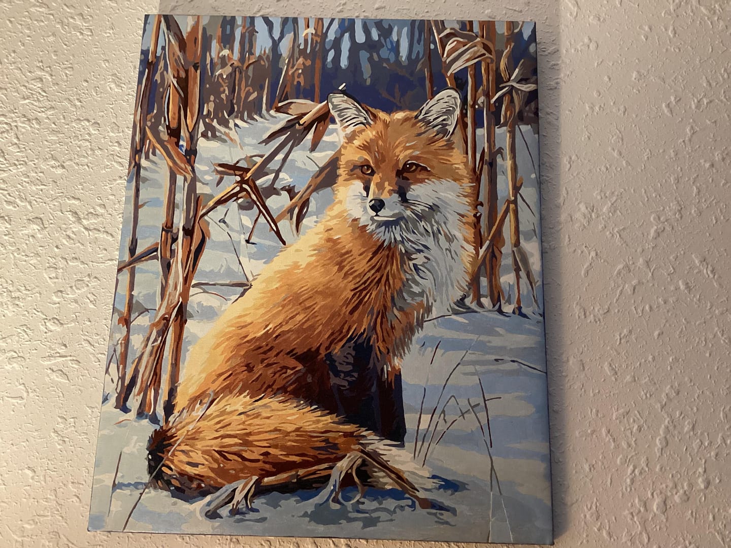 Customer photo review of Renard dans la Neige