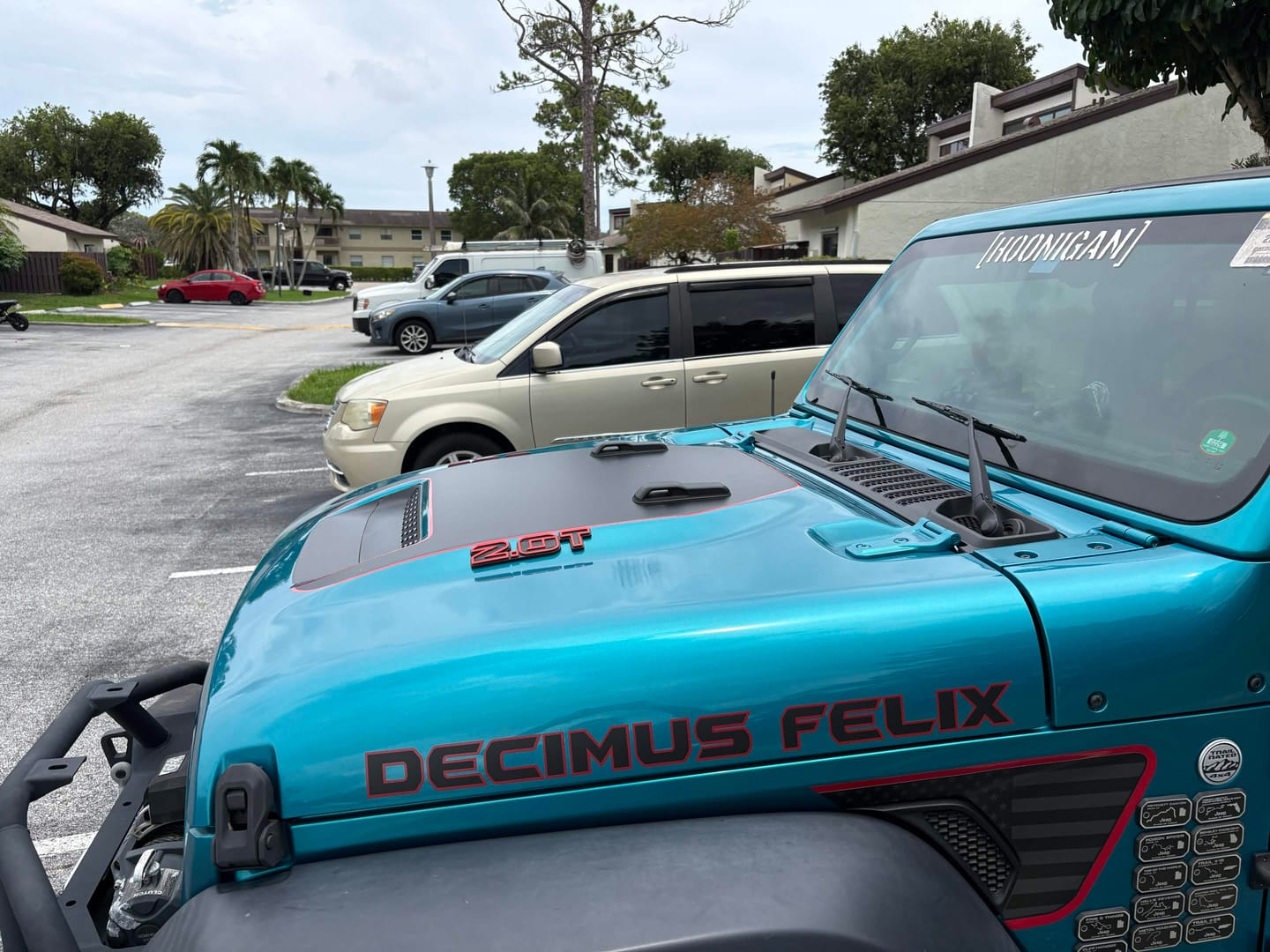 Customer photo review of Premium Hood Lettering | Set of 2