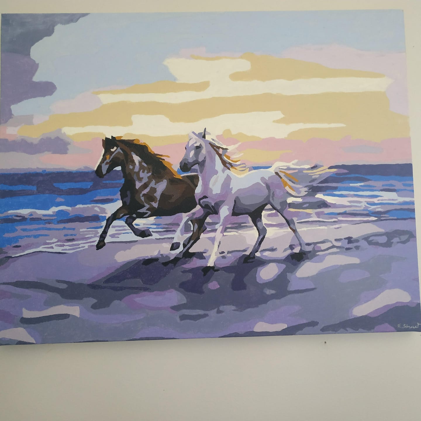 Customer photo review of Chevaux sur la plage