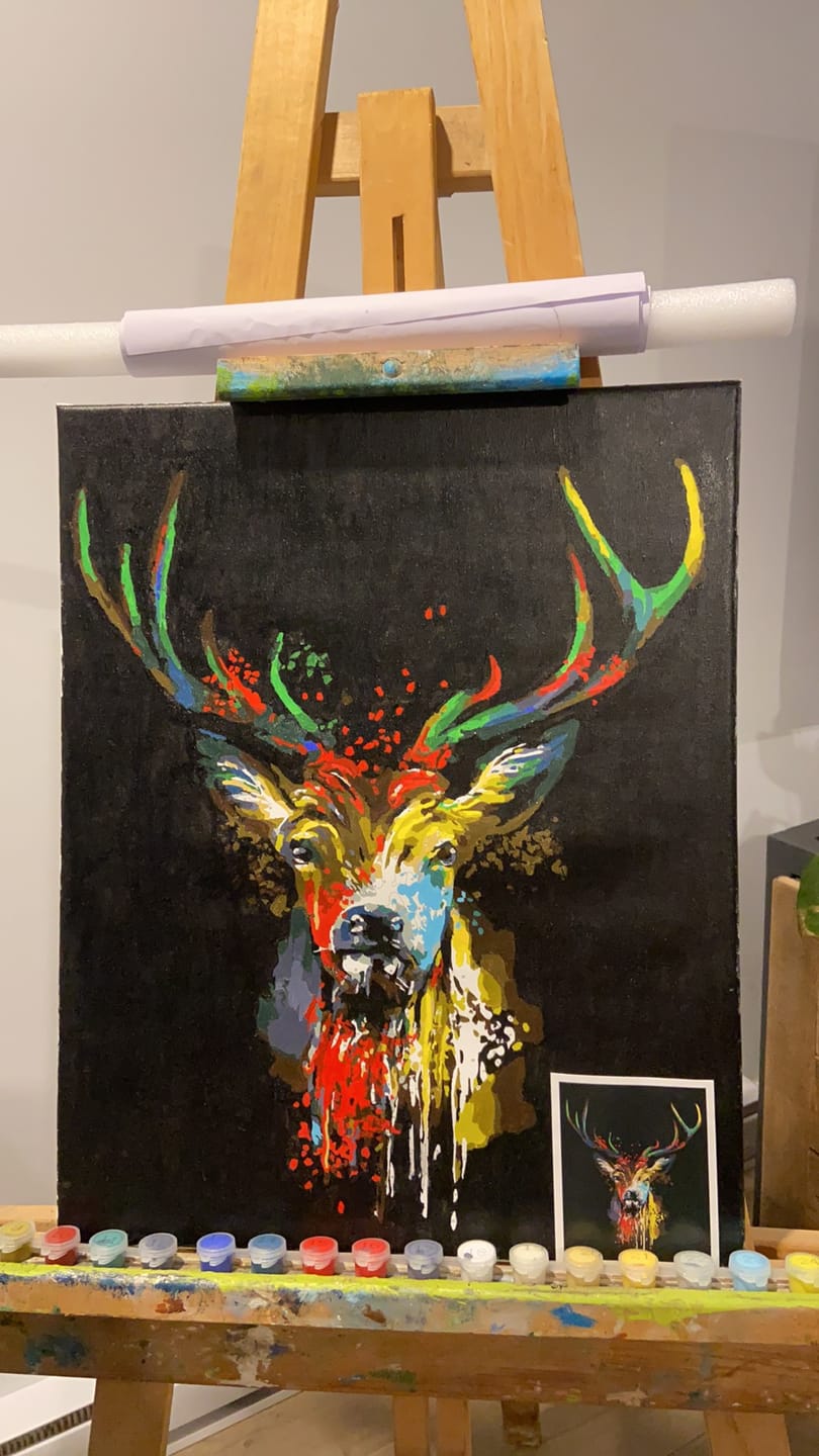 Customer photo review of Cerf en Couleur