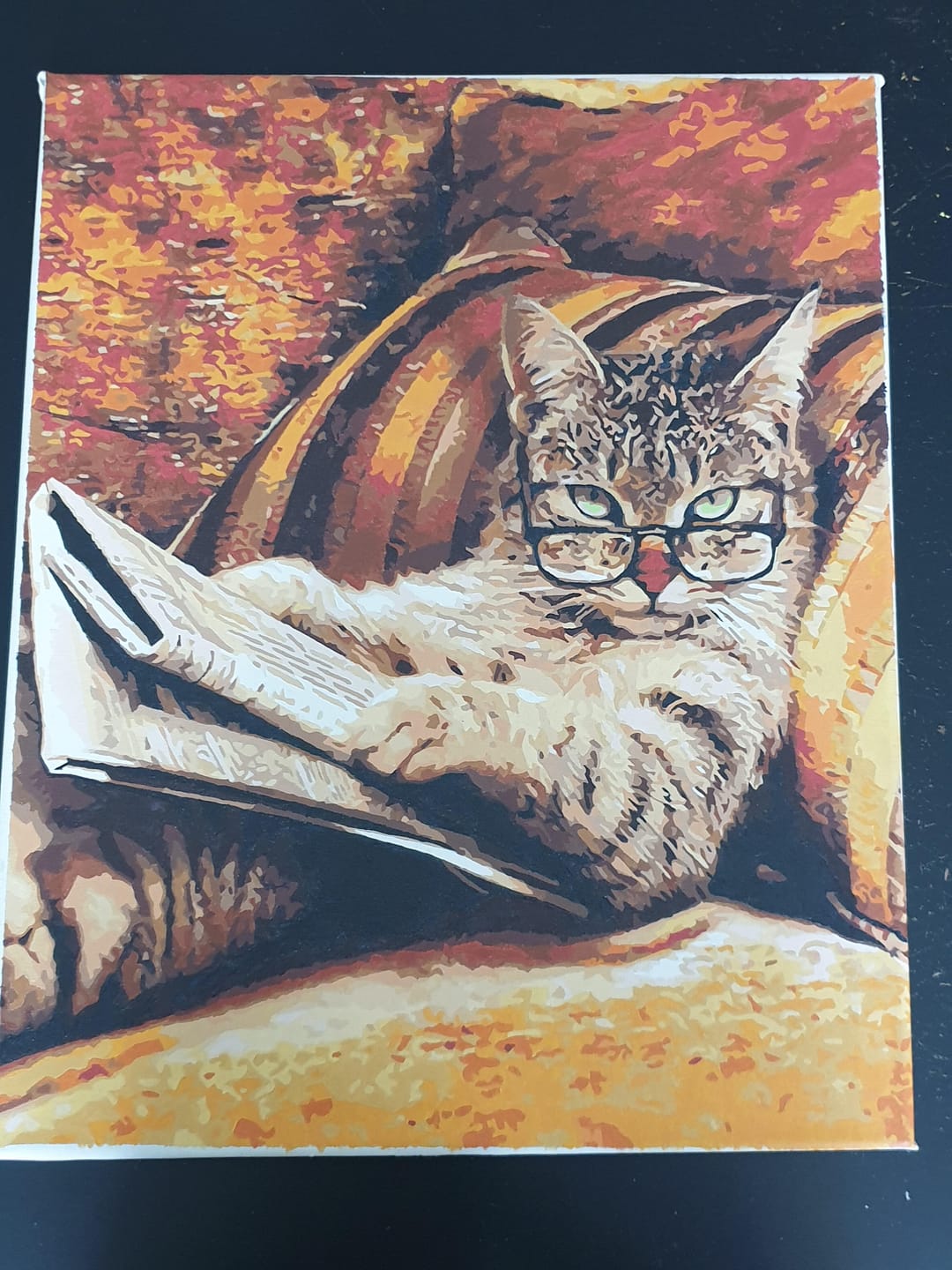Customer photo review of Chat Connaisseur