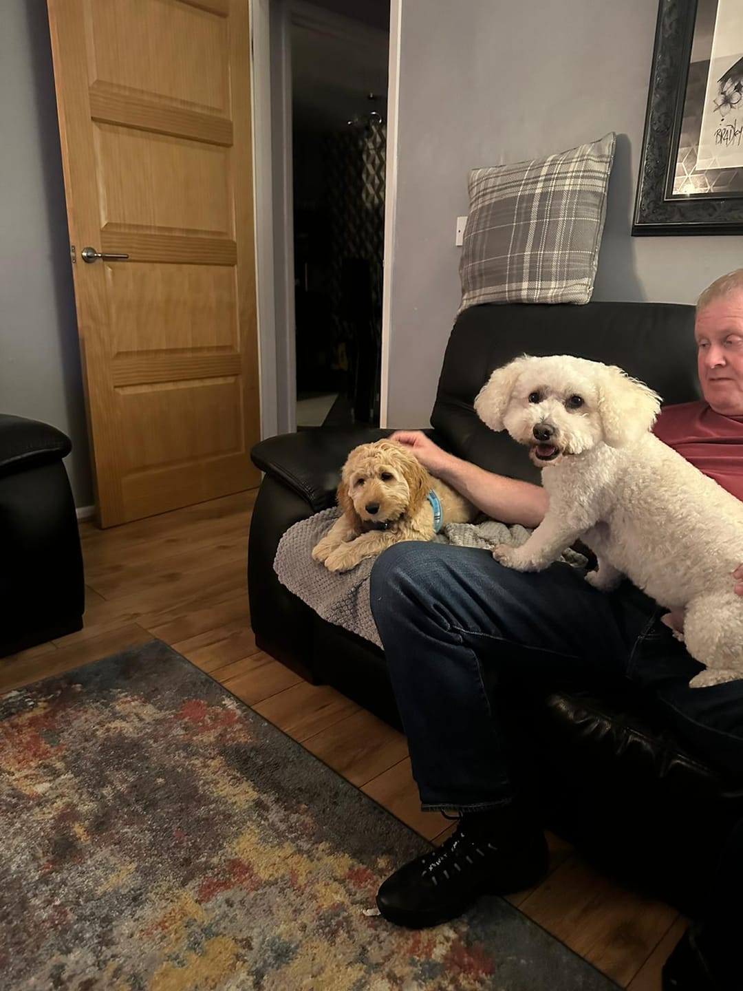 Customer photo review of Dog Duo Pack