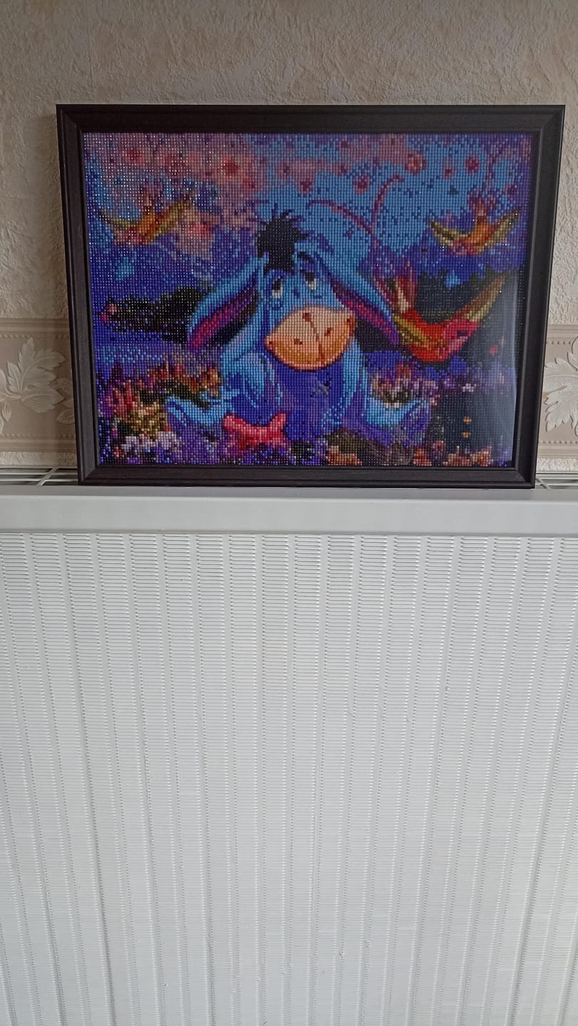 Customer photo review of Broderie Diamant - Ane pensif