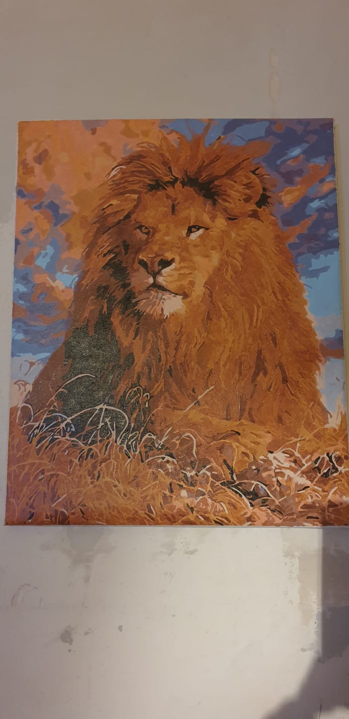 Customer photo review of Le Repos du Lion