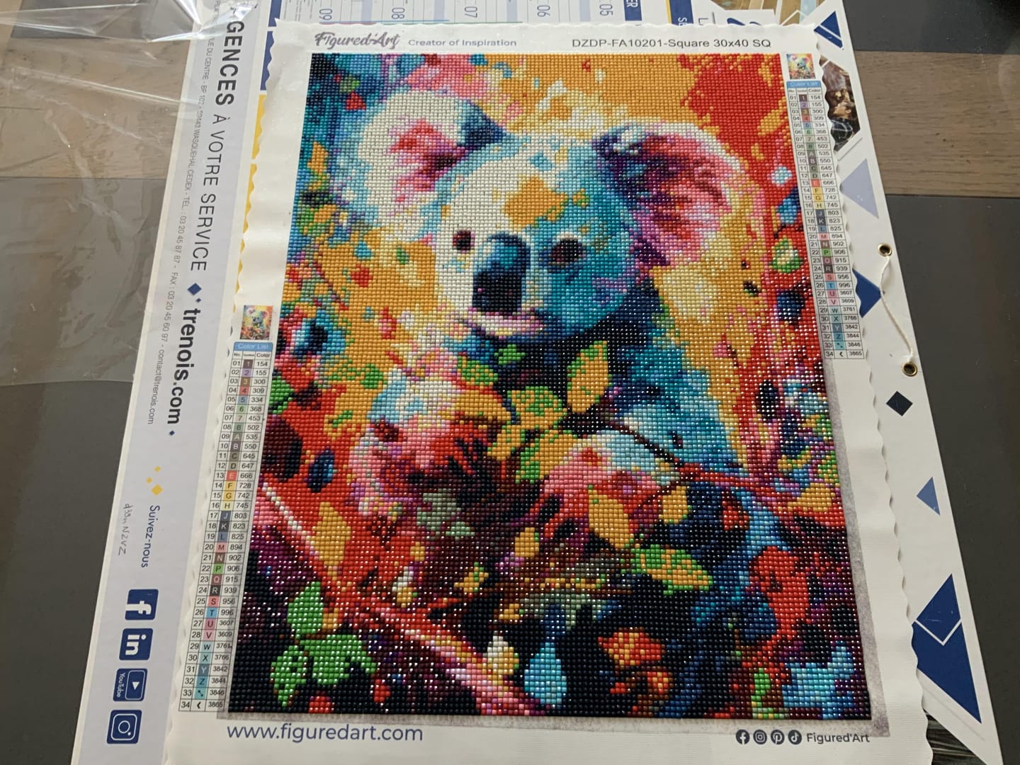 Customer photo review of Broderie Diamant - Koala Coloré Abstrait