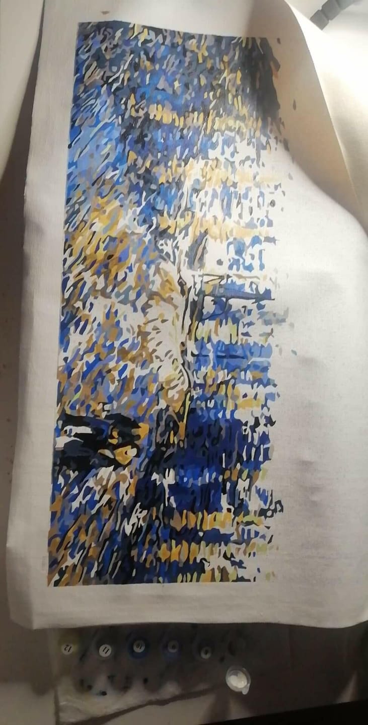 Customer photo review of Van Gogh Nuit Etoilée sur le Rhône