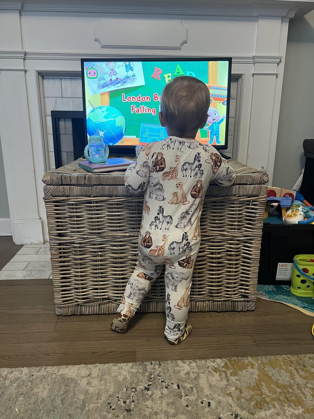 Customer photo review of Baby Mine Adult Bamboo Blanket