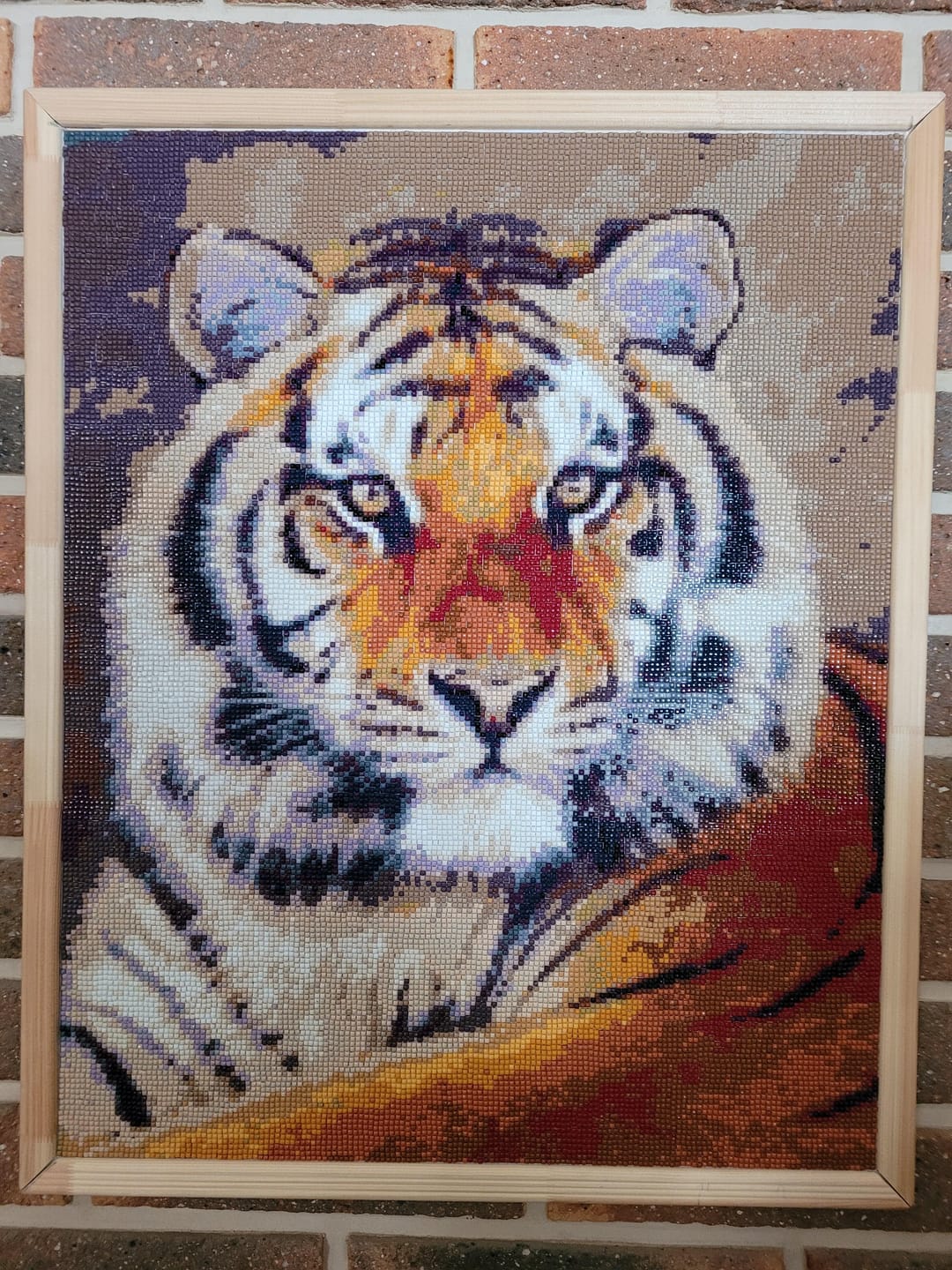 Customer photo review of Broderie Diamant - Regard de Tigre