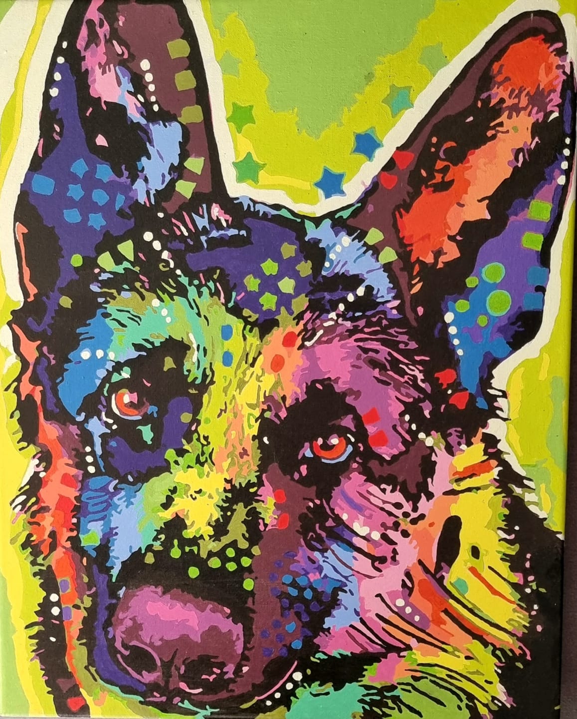 Customer photo review of Chien étoilé 2