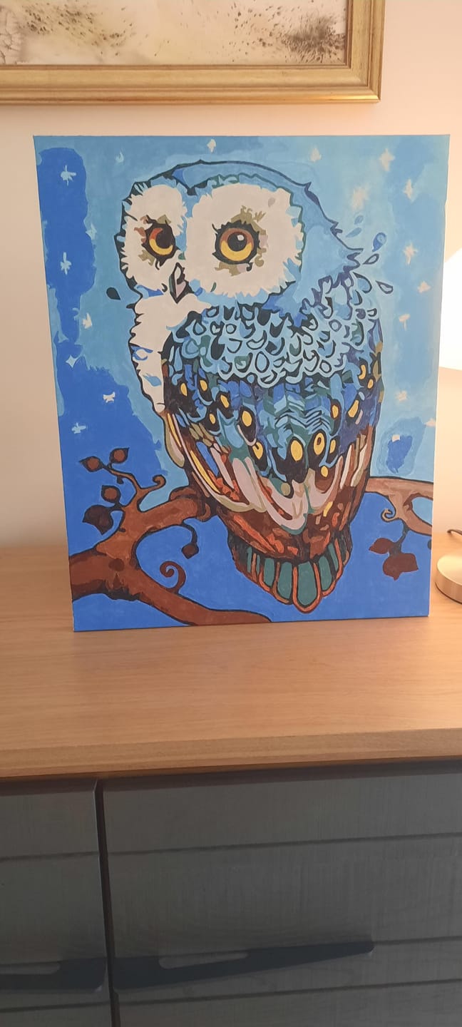Customer photo review of Chouette cette chouette