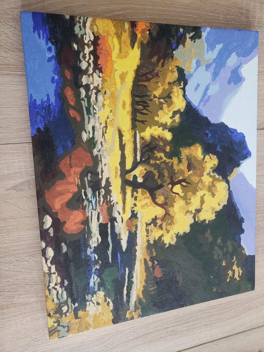 Customer photo review of Rivière paisible