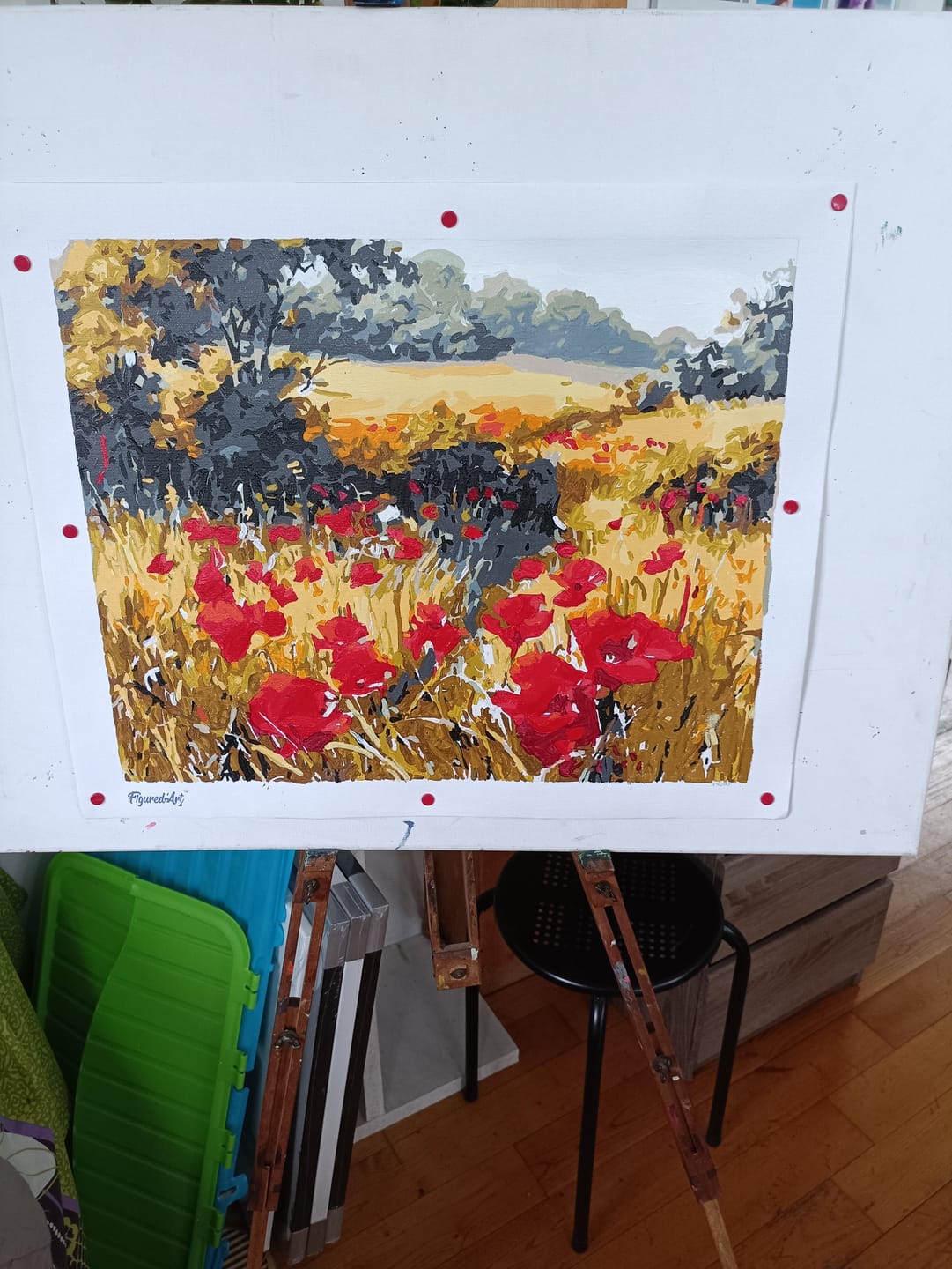 Customer photo review of Coquelicots champêtres