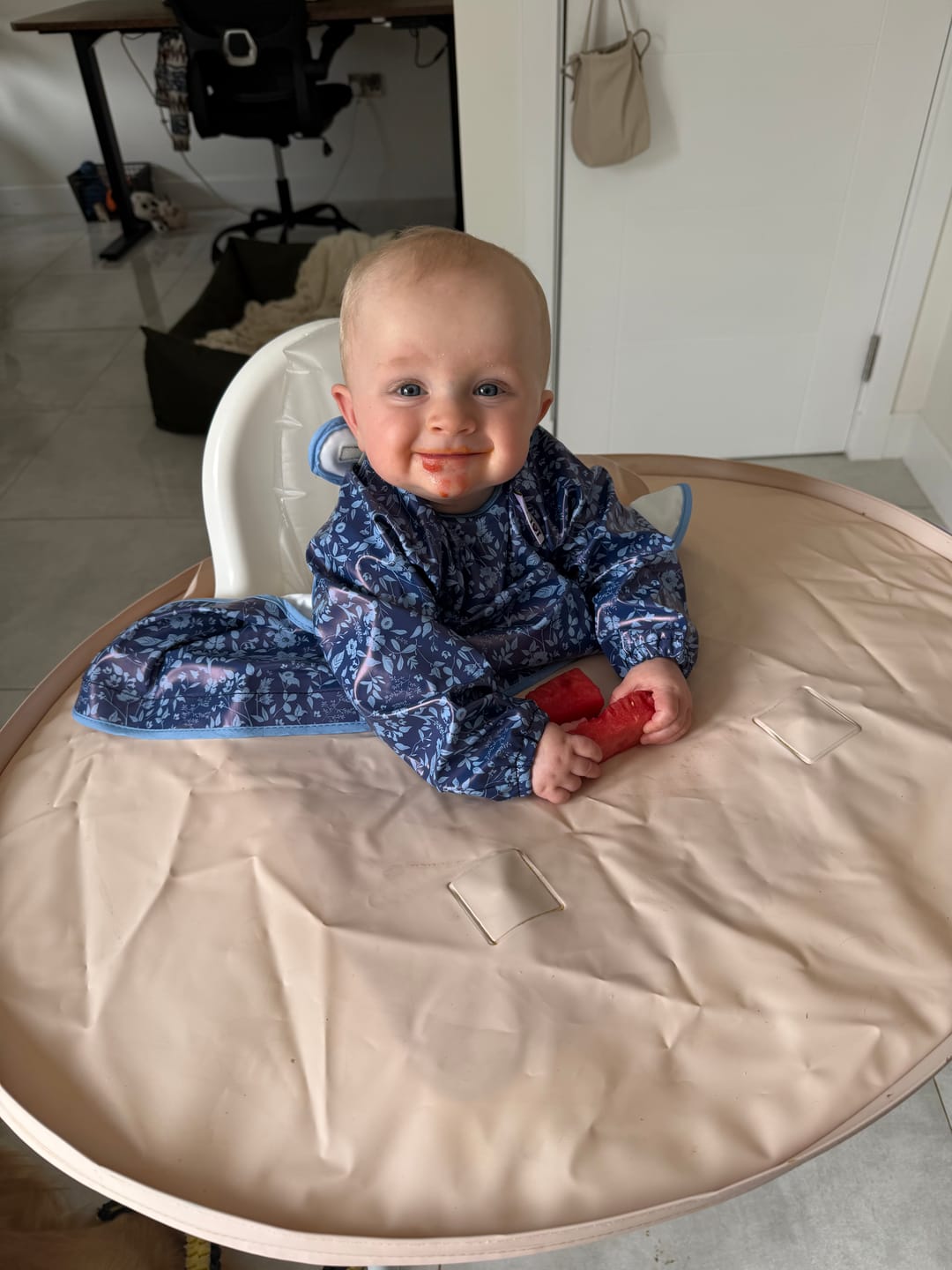 Customer photo review of Bib & Tray Kit
