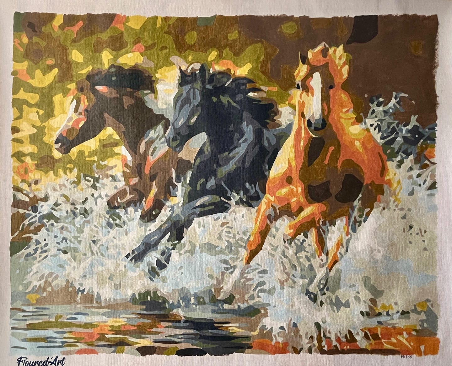 Customer photo review of Chevaux de Camargue
