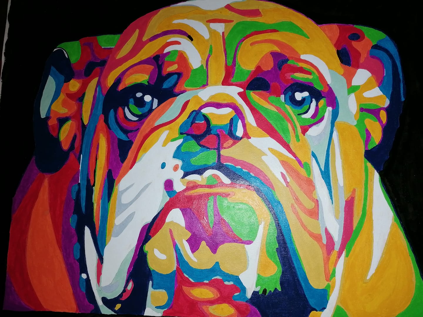 Customer photo review of Bulldog Pop Art