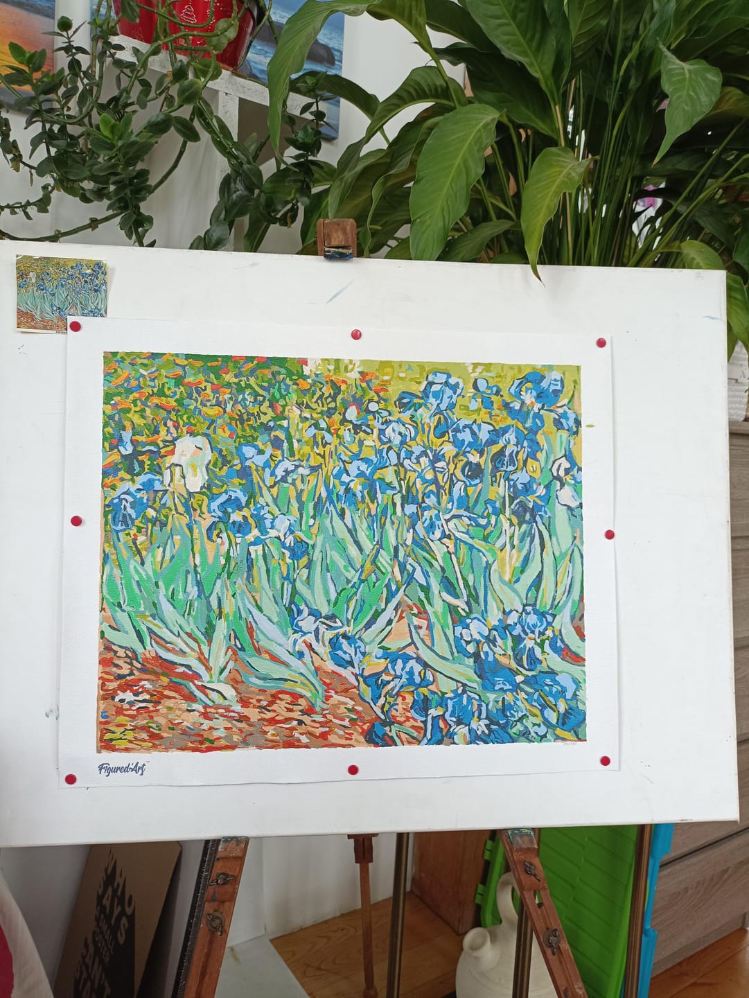 Customer photo review of Van Gogh Iris